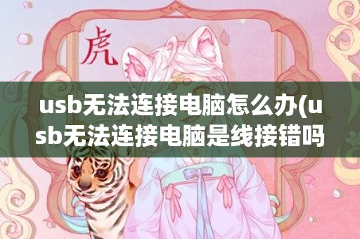 usb无法连接电脑怎么办(usb无法连接电脑是线接错吗)