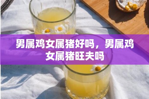 男属鸡女属猪好吗，男属鸡女属猪旺夫吗