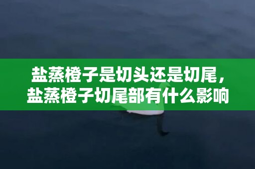 盐蒸橙子是切头还是切尾，盐蒸橙子切尾部有什么影响