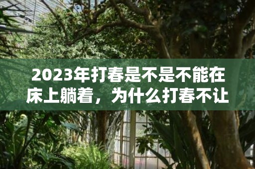 2023年打春是不是不能在床上躺着，为什么打春不让打在床上