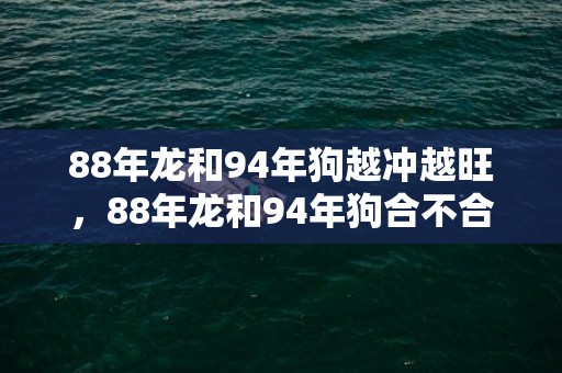 88年龙和94年狗越冲越旺，88年龙和94年狗合不合