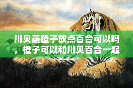 川贝蒸橙子放点百合可以吗，橙子可以和川贝百合一起蒸吗