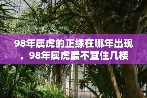 98年属虎的正缘在哪年出现，98年属虎最不宜住几楼