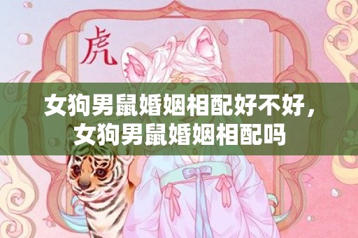 女狗男鼠婚姻相配好不好，女狗男鼠婚姻相配吗