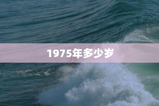 1975年多少岁