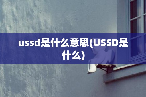 ussd是什么意思(USSD是什么)
