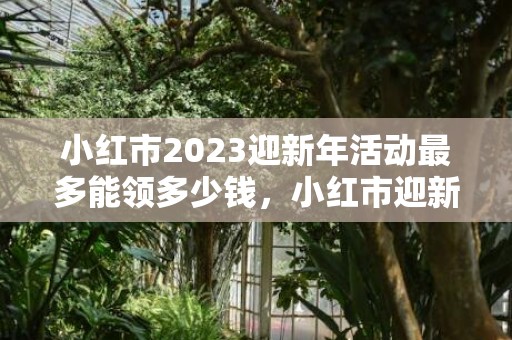 小红市2023迎新年活动最多能领多少钱，小红市迎新年活动怎么参加