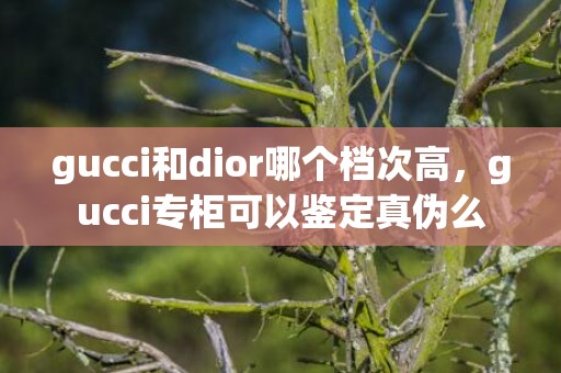 gucci和dior哪个档次高，gucci专柜可以鉴定真伪么