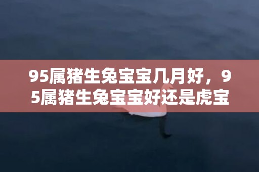 95属猪生兔宝宝几月好，95属猪生兔宝宝好还是虎宝宝好