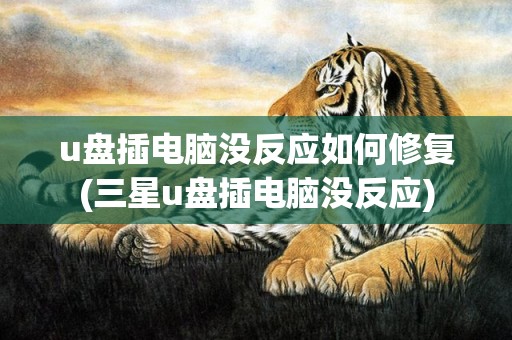 u盘插电脑没反应如何修复(三星u盘插电脑没反应)