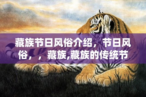 藏族节日风俗介绍，节日风俗，，藏族,藏族的传统节日有哪些啊？