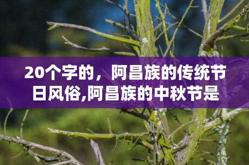 20个字的，阿昌族的传统节日风俗,阿昌族的中秋节是怎么过的