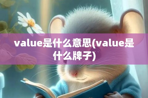 value是什么意思(value是什么牌子)