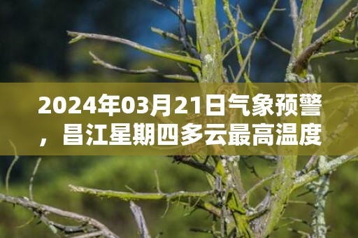 2024年03月21日气象预警，昌江星期四多云最高温度27℃