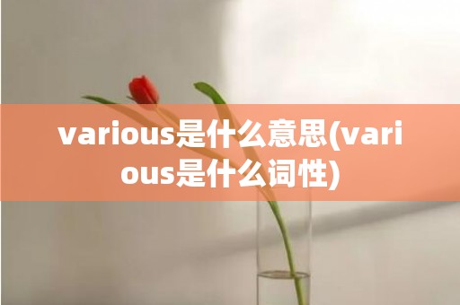 various是什么意思(various是什么词性)