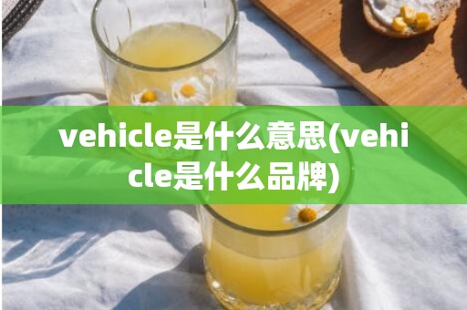 vehicle是什么意思(vehicle是什么品牌)
