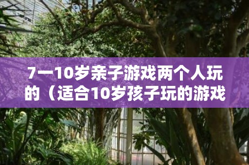 7一10岁亲子游戏两个人玩的（适合10岁孩子玩的游戏）