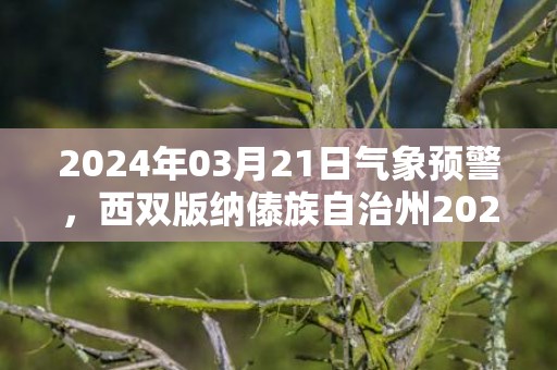 2024年03月21日气象预警，西双版纳傣族自治州2024/03/21周四阵雨最高温度28度