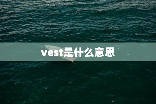 vest是什么意思