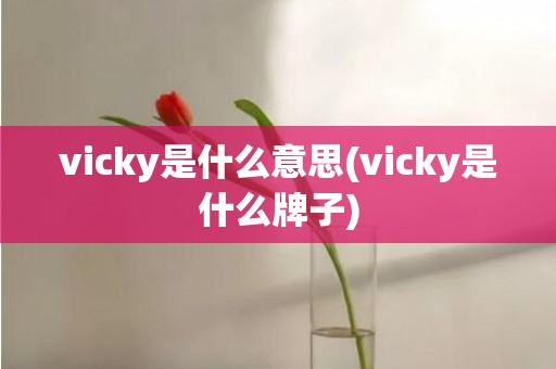 vicky是什么意思(vicky是什么牌子)