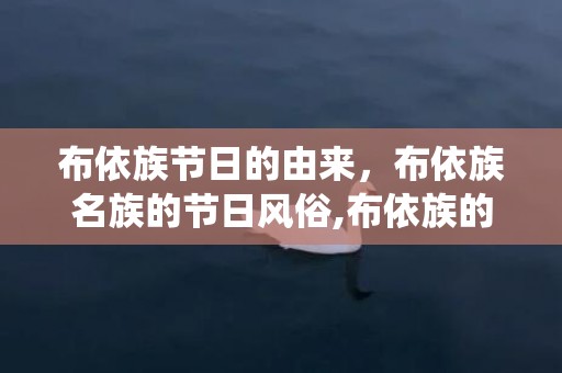 布依族节日的由来，布依族名族的节日风俗,布依族的传统节日有哪些