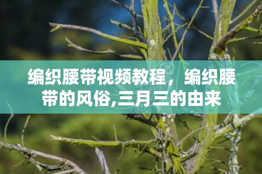 编织腰带视频教程，编织腰带的风俗,三月三的由来