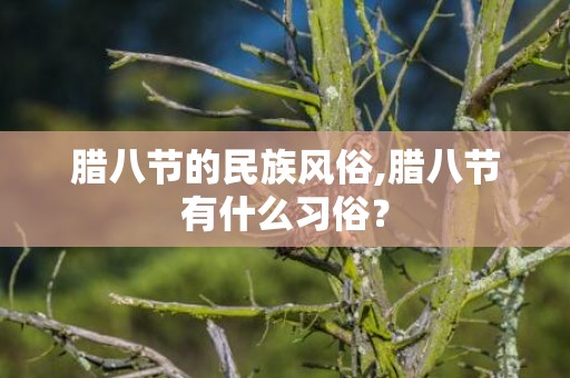 腊八节的民族风俗,腊八节有什么习俗？