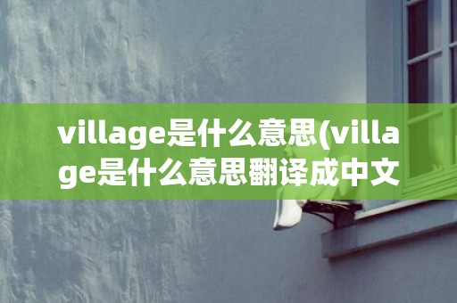 village是什么意思(village是什么意思翻译成中文)