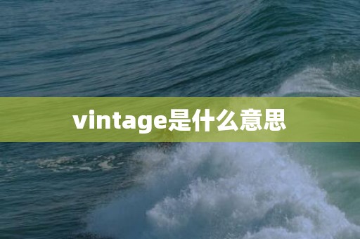 vintage是什么意思