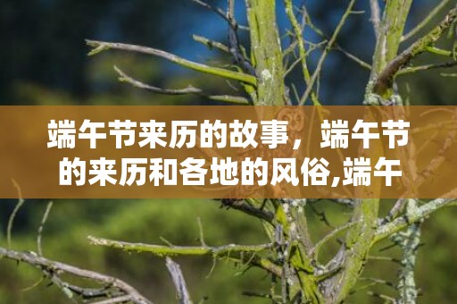 端午节来历的故事，端午节的来历和各地的风俗,端午节的来历和习俗