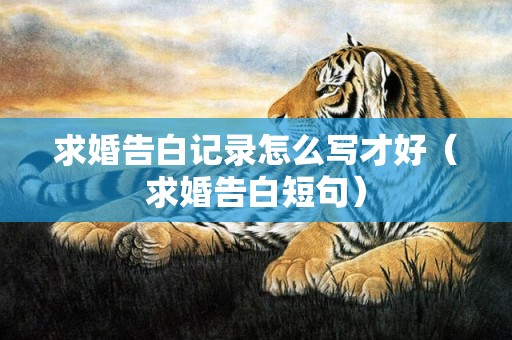 求婚告白记录怎么写才好（求婚告白短句）