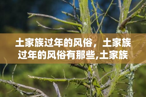 土家族过年的风俗，土家族过年的风俗有那些,土家族传统节日，风俗活动是什么
