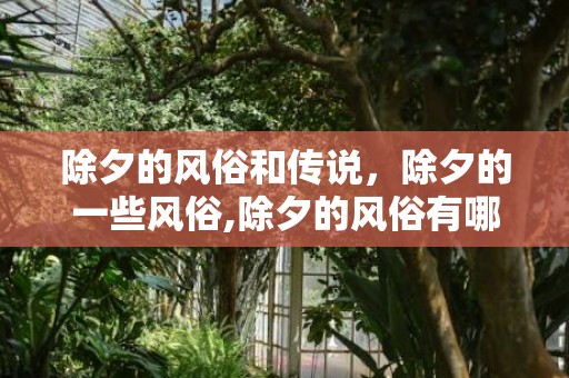 除夕的风俗和传说，除夕的一些风俗,除夕的风俗有哪些？