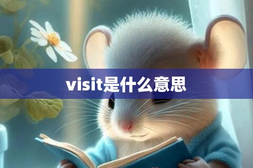 visit是什么意思