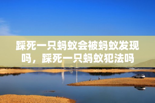 踩死一只蚂蚁会被蚂蚁发现吗，踩死一只蚂蚁犯法吗