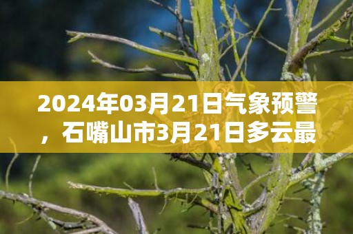 2024年03月21日气象预警，石嘴山市3月21日多云最高温度21度