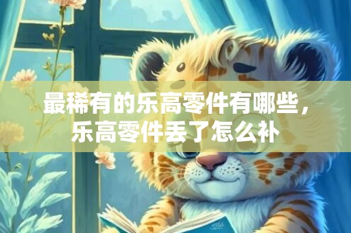 最稀有的乐高零件有哪些，乐高零件丢了怎么补