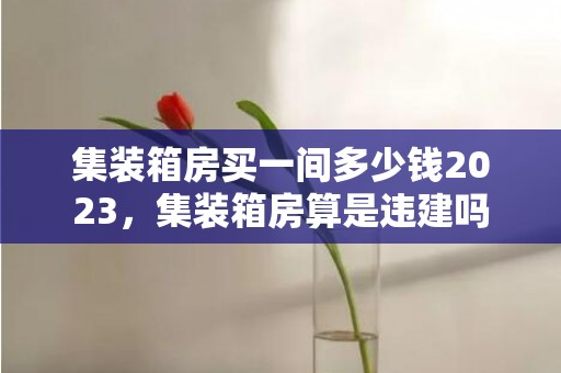 集装箱房买一间多少钱2023，集装箱房算是违建吗