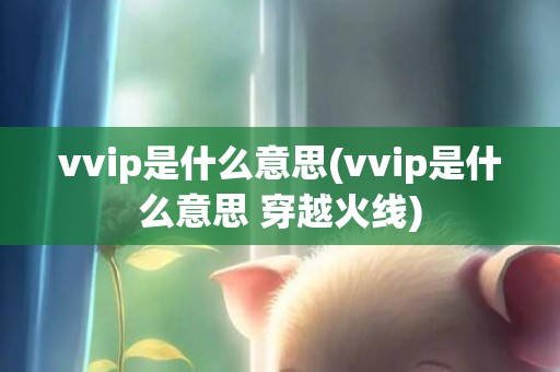 vvip是什么意思(vvip是什么意思 穿越火线)