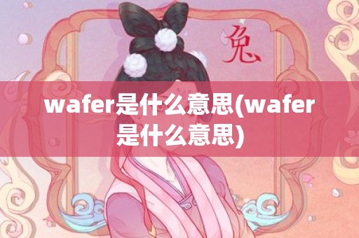wafer是什么意思(wafer是什么意思)