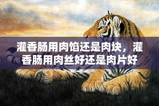 灌香肠用肉馅还是肉块，灌香肠用肉丝好还是肉片好