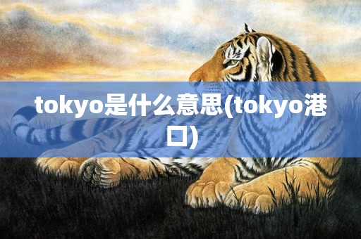 tokyo是什么意思(tokyo港口)