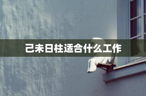 己未日柱适合什么工作