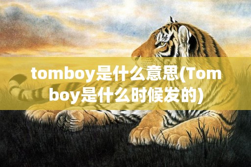 tomboy是什么意思(Tomboy是什么时候发的)