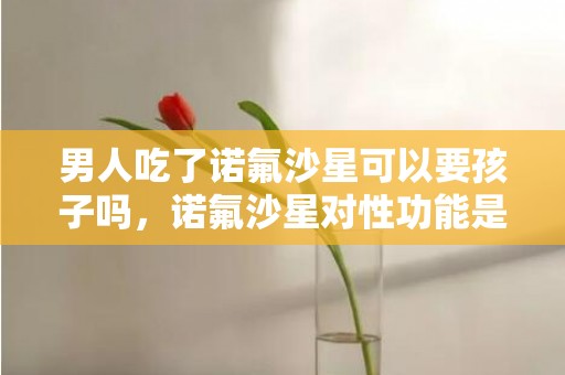 男人吃了诺氟沙星可以要孩子吗，诺氟沙星对性功能是否有影响