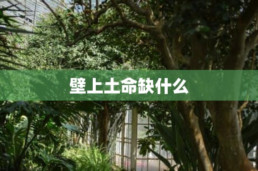 壁上土命缺什么