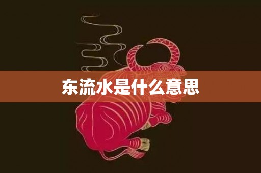 东流水是什么意思