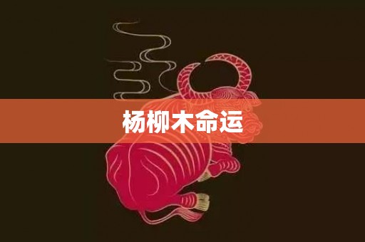 杨柳木命运