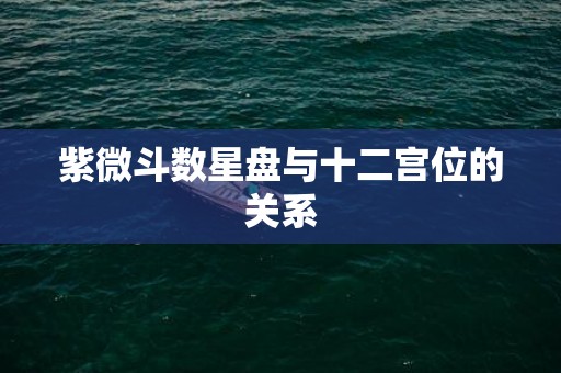 紫微斗数星盘与十二宫位的关系
