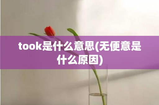 took是什么意思(无便意是什么原因)